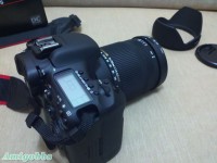 新入手Sigma 18-250mm