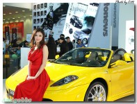 深圳國際汽車博覽會2008 [30p]