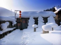 雪景