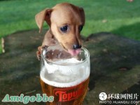 信不信由你