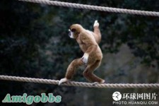 信不信由你