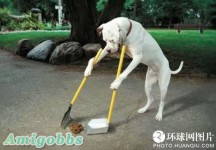 信不信由你