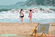 史上最強颱風 鮎魚撲港