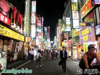 夜訪日本紅燈區 - 歌舞姬町一番街