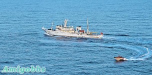 中國 3漁政船巡釣魚台