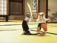 動物也瘋狂