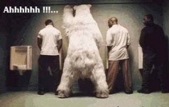 動物也瘋狂