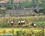 北韓兩島將變「香港」