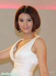 车模1