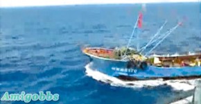 釣島撞船片44分鐘片段震驚中日　菅直人促徹查