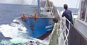 釣島撞船片44分鐘片段震驚中日　菅直人促徹查