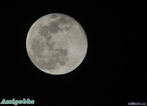 15年內中國有望送3人登月