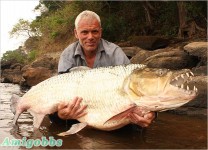 非洲恐怖猛魚 (有圖，慎入！)