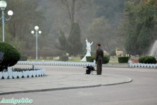 轉貼 - 鏡頭下的朝鮮
