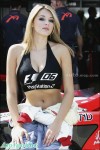 英國 F1賽場上的豐胸性感美女