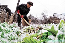 冰封湖南貴州　中小學停課
