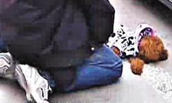 撞死狗賠罪 兩男狗屍前下跪 1小時