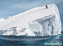 大膽男玩命　浮動冰山滑雪