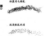 提防損友面相觀