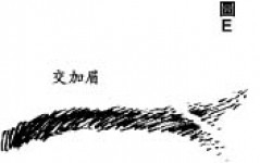 提防損友面相觀