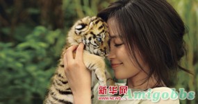 李冰冰冒雨玩幼虎‏