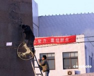 石家庄市中级法院裁定三鹿集团正式破产