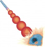 獵戶座恒星 2012大爆炸