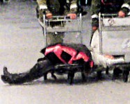 莫斯科機場大爆炸