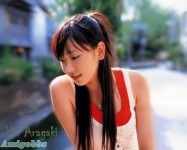 人氣美眉新垣結衣(31P)