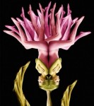 人體花