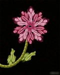 人體花