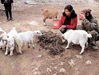 坐擁數百萬身家 80後夫妻棄豪宅住深山