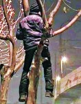 20歲男子無工開樹上睡覺
