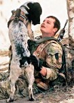 軍犬睹主人殉職　傷心到死