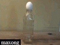 怎樣才能讓雞蛋進入小瓶子裏呢？當時我震驚了！