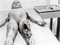 ROSWELL UFO墜落新證曝光
