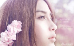Angelababy犹如花仙子 美不胜收